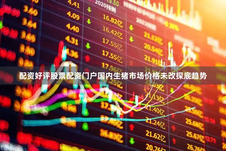 配资好评股票配资门户国内生猪市场价格未改探底趋势
